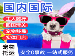 克拉玛依古海航空运输国际宠物托运 【国